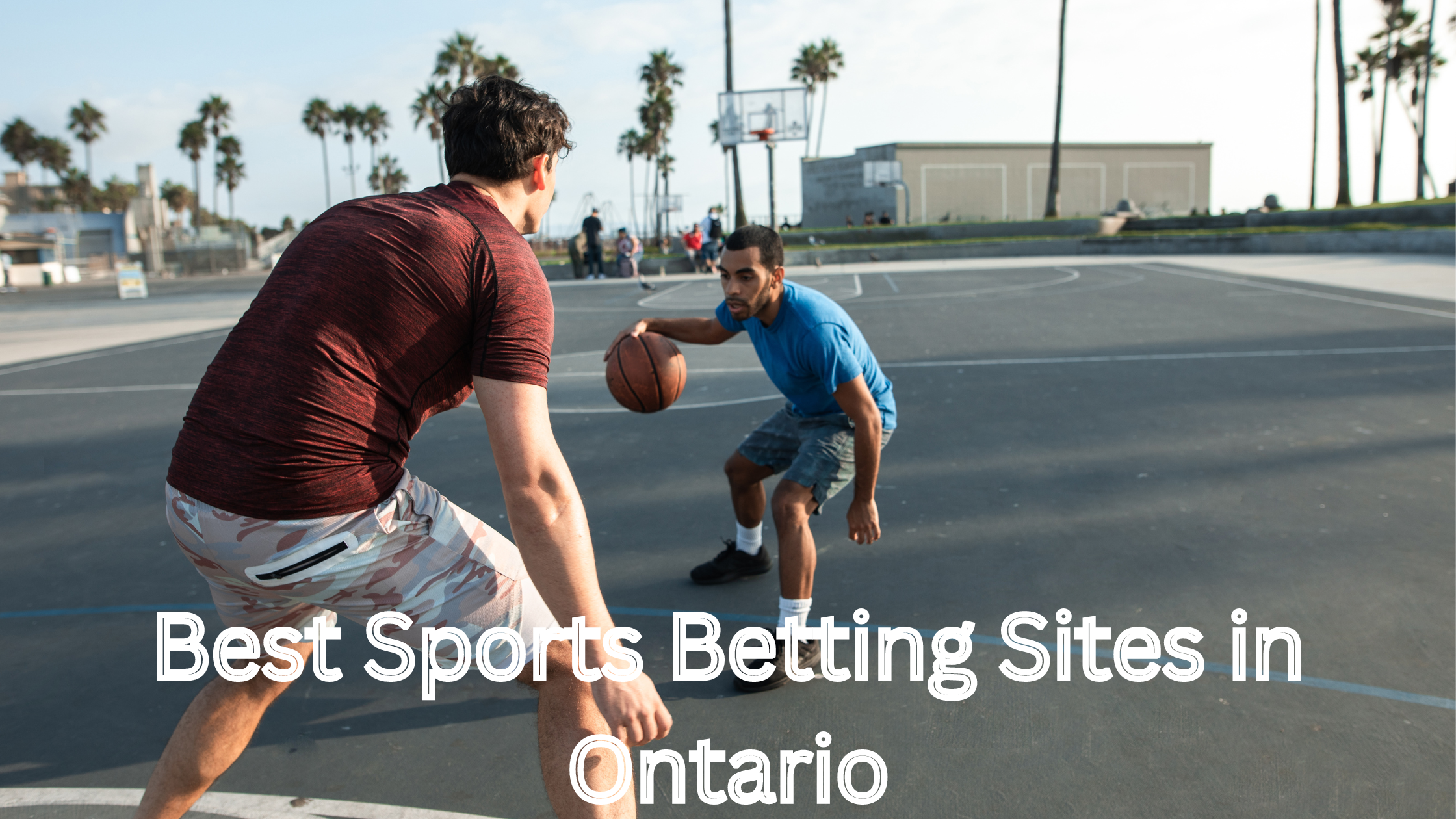 Best Sports Betting Sites in Ontario