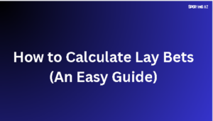 Calculate Lay Bets