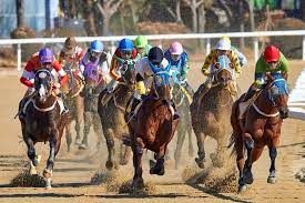 What Does F Mean in Horse Racing