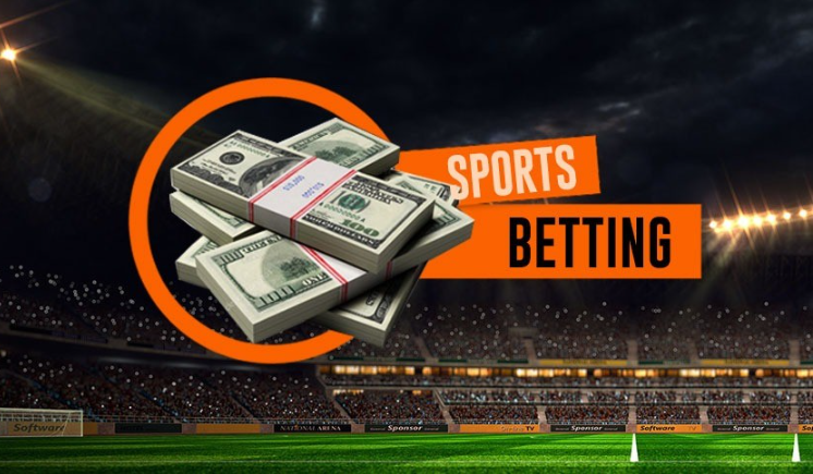 Top 7 Sports Betting Platforms For Beginners in 2024