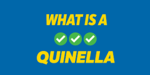 Quinella Bet?